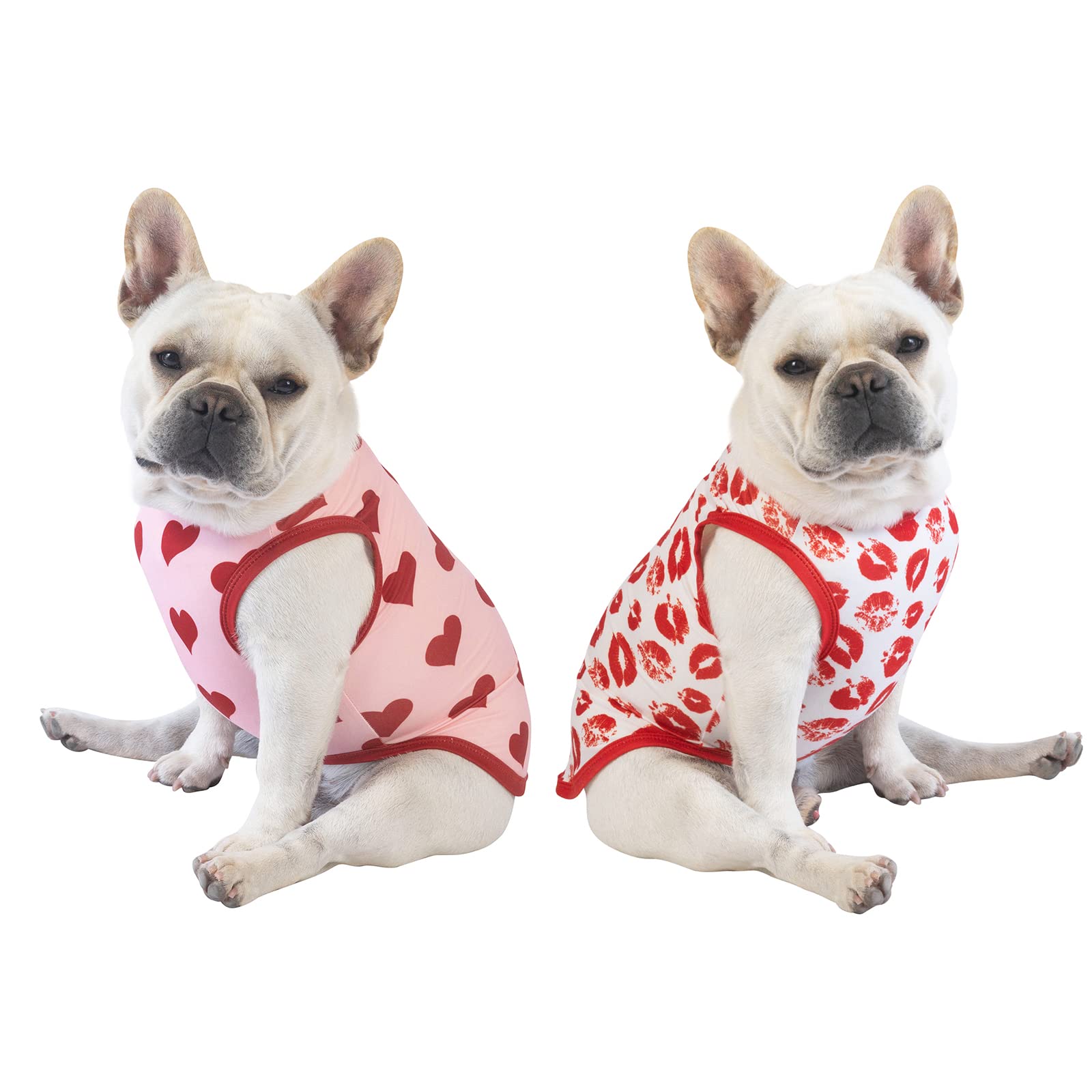 CuteBone camisa perro San Valentín conjunto detalle rayas, estilo casual para salir.