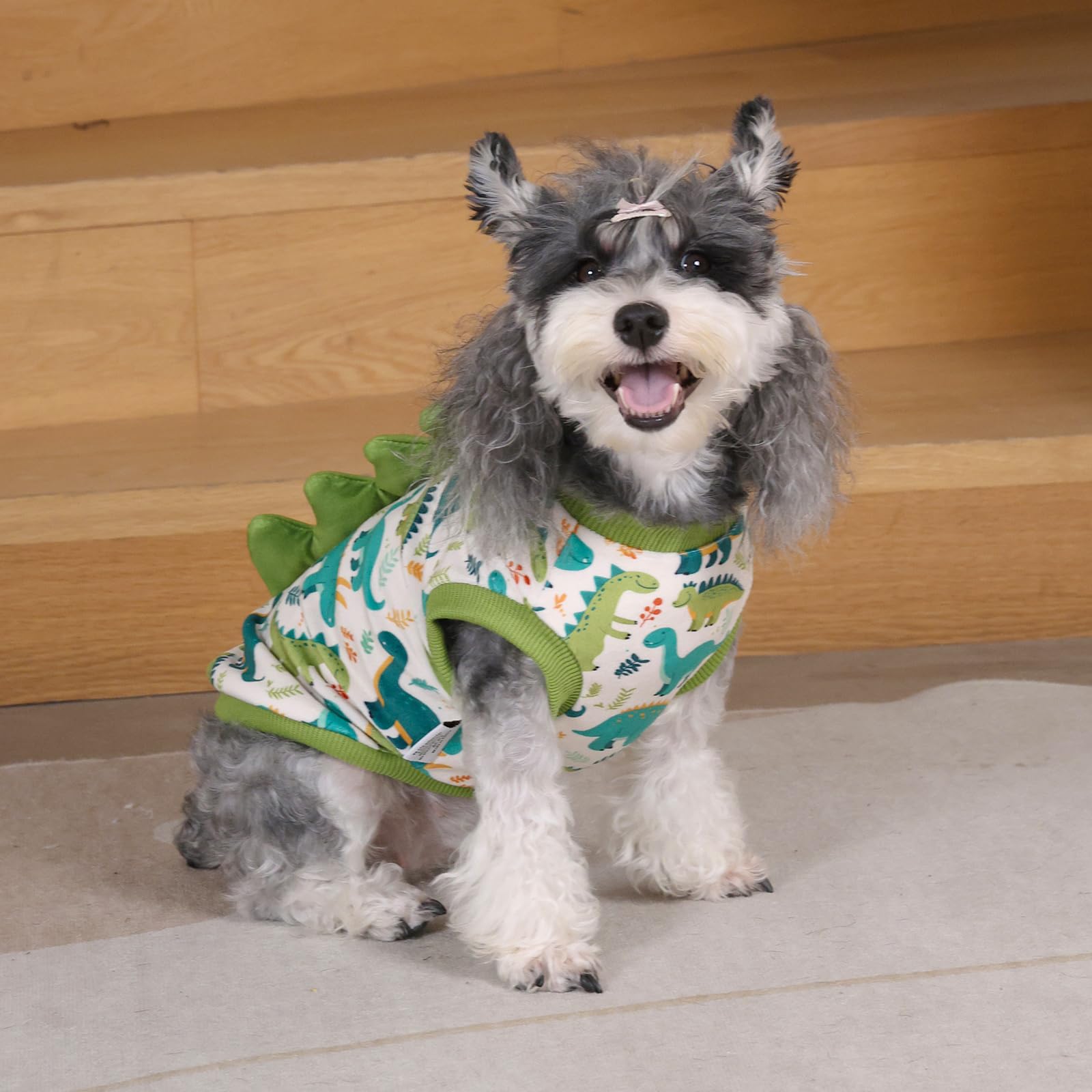 CuteBone Camiseta Dinosaurio también apta para gatos en hogares multiespecie.