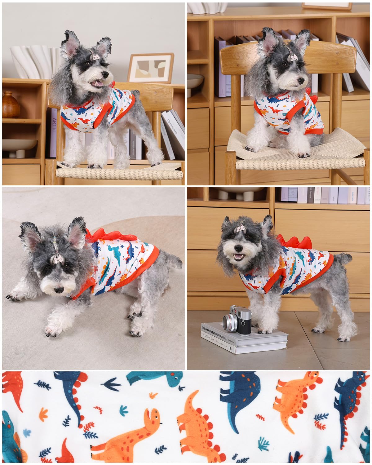 Diseño divertido para diario, CuteBone Dinosaurio, moda práctica para perros pequeños.