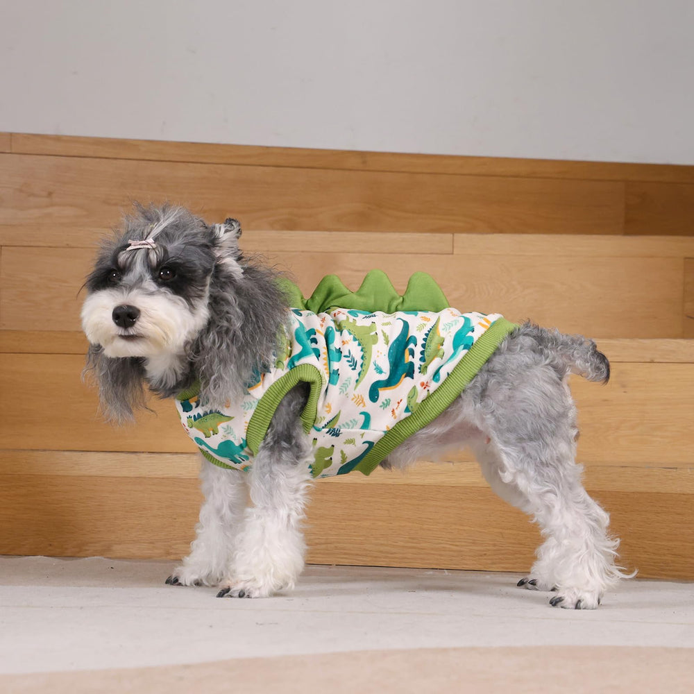 CuteBone Camiseta Dinosaurio ideal para diario, paseos y sesiones de fotos.
