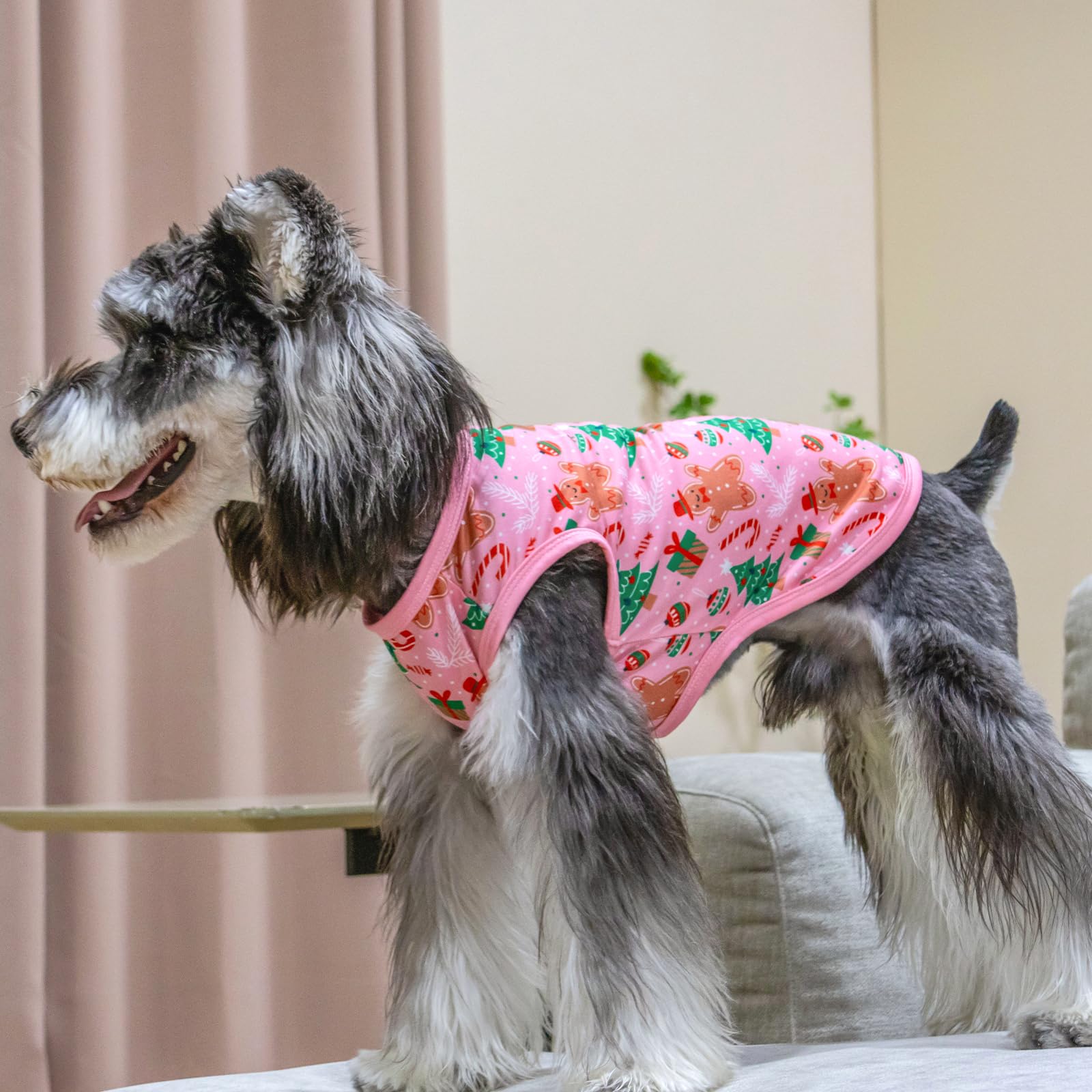 CuteBone camiseta para perro, conjunto de dos prendas para Navidad.