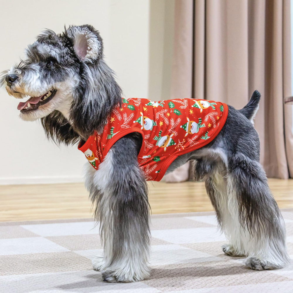 CuteBone camiseta para perro, lavable a máquina, práctica para el día a día.