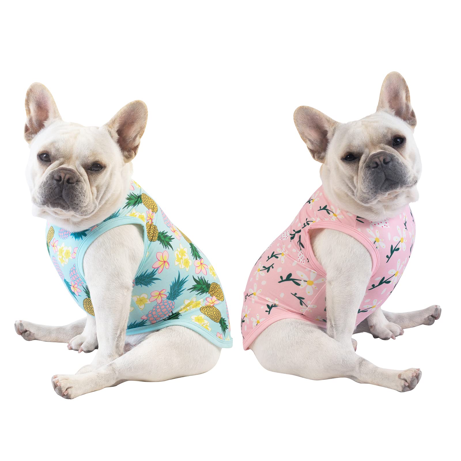 CuteBone camiseta-perro-ponerse-facil: fácil de colocar para dueños.