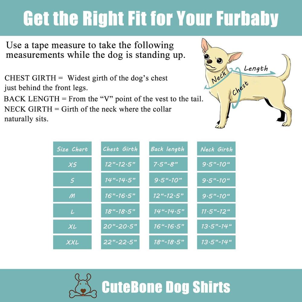 Camiseta CuteBone en varias tallas, encuentra la adecuada.