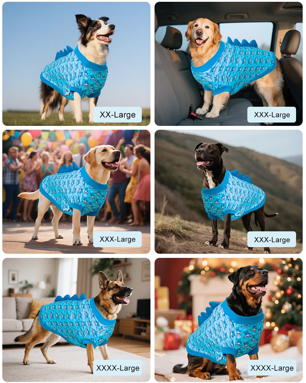 CuteBone prenda diaria para paseos, fotos y eventos