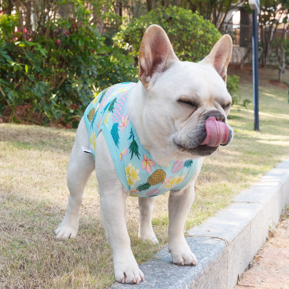 CuteBone camisetas-perro-ocasion: ideal para fiestas y viajes.