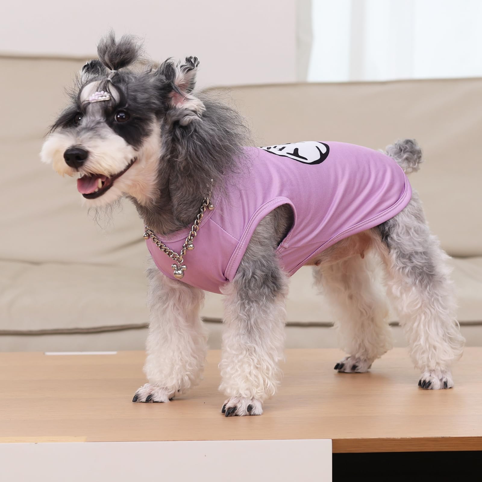 CuteBone camisetas perro pack2 tallas disponibles para pequenos