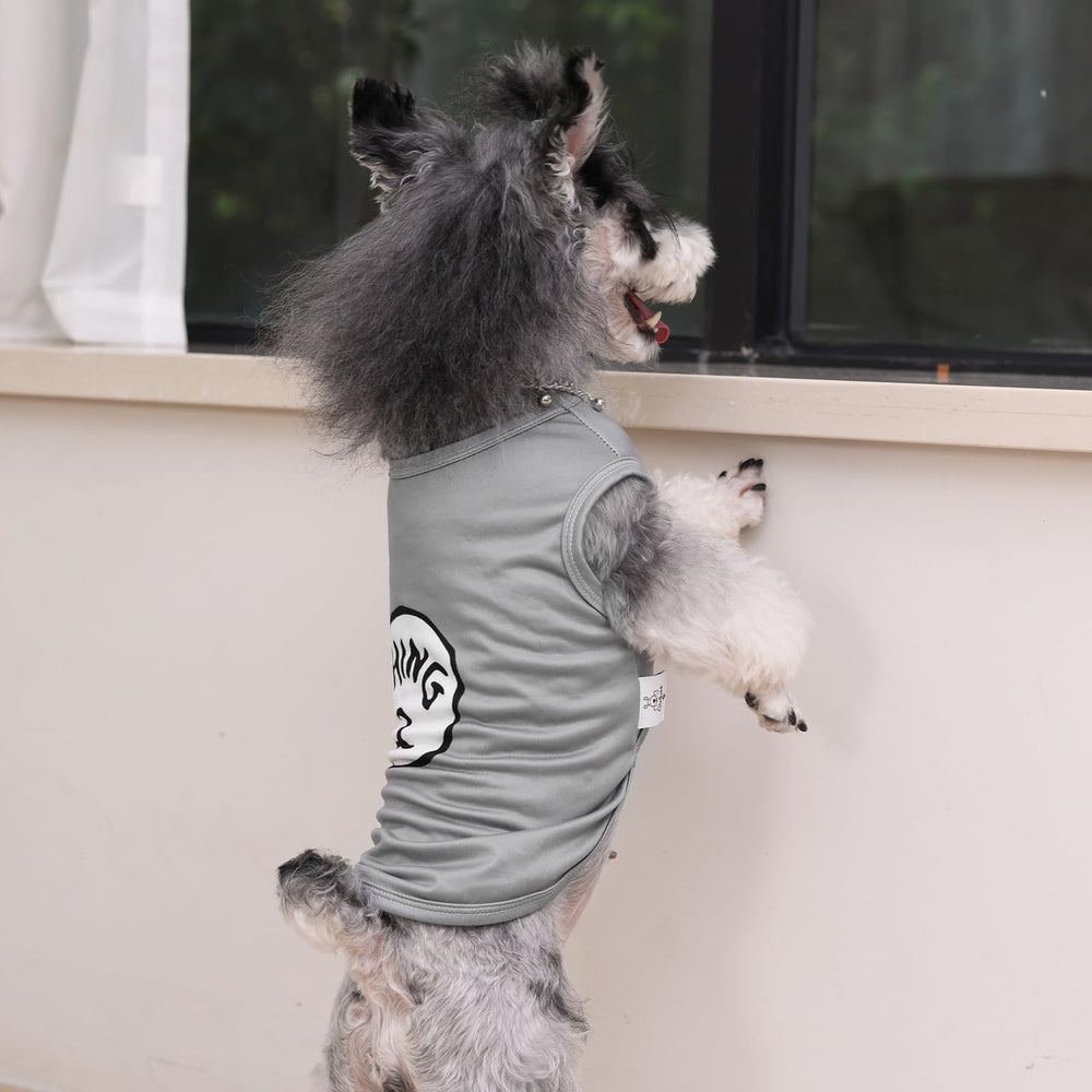 Diseños divertidos para perros y gatos con CuteBone.