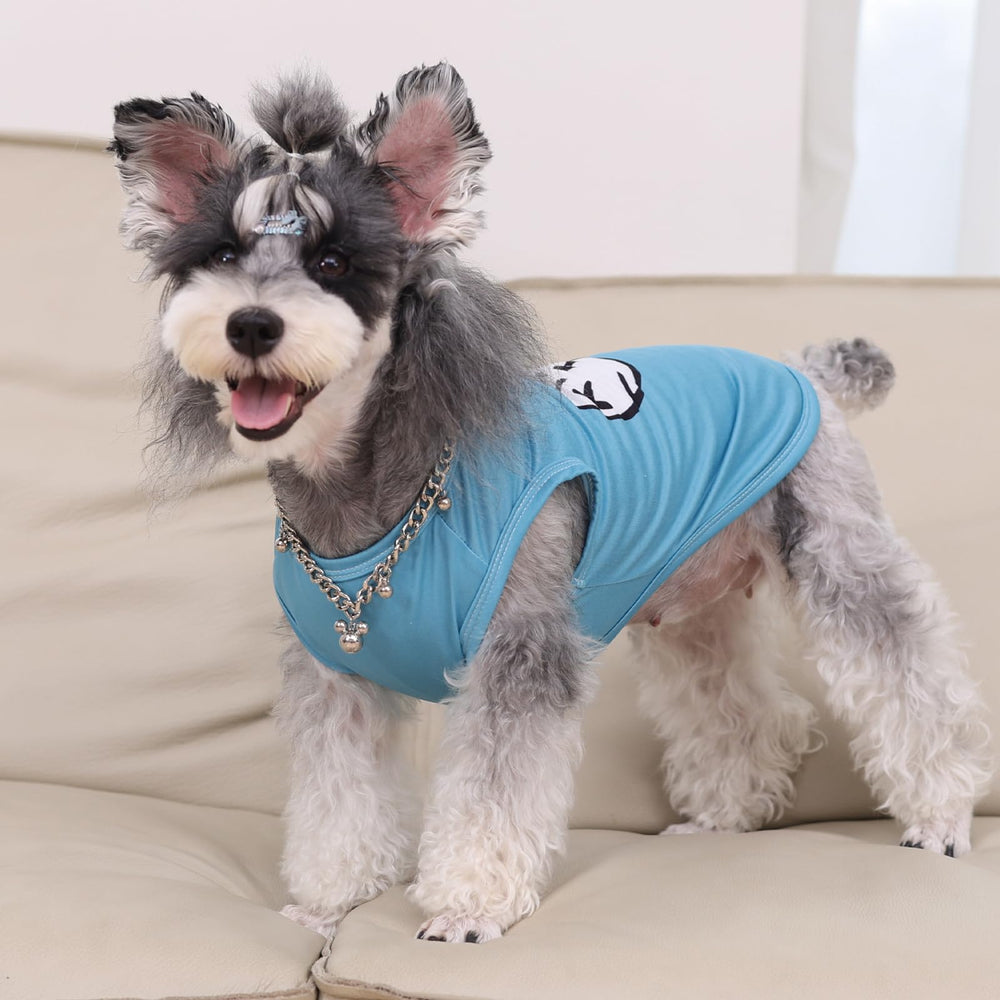 Tallas disponibles de CuteBone para perros pequeños y gatos.