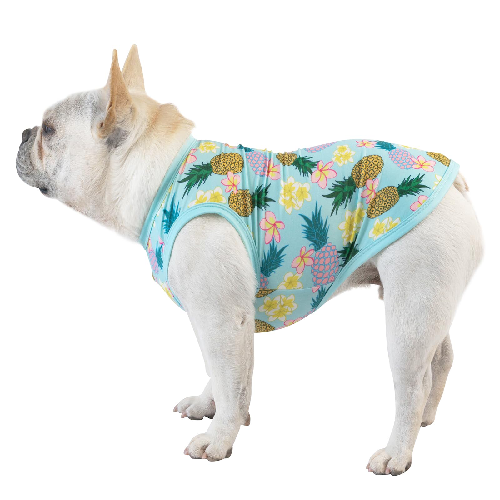CuteBone camisetas-perro-rayas-diseño: estilo casual para salidas.