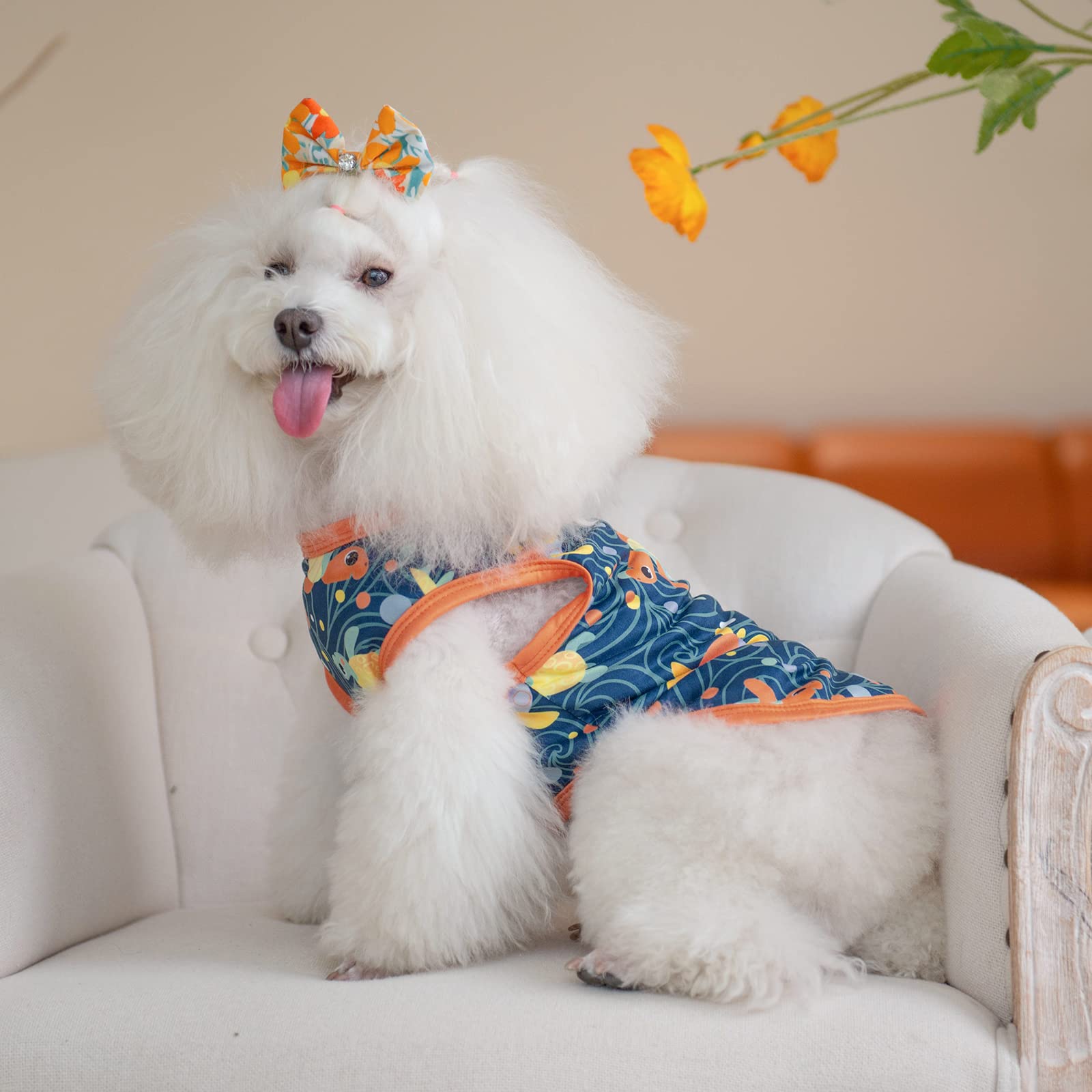 cutebone camisetas para perro tallas diversas: ajuste para cada mascota
