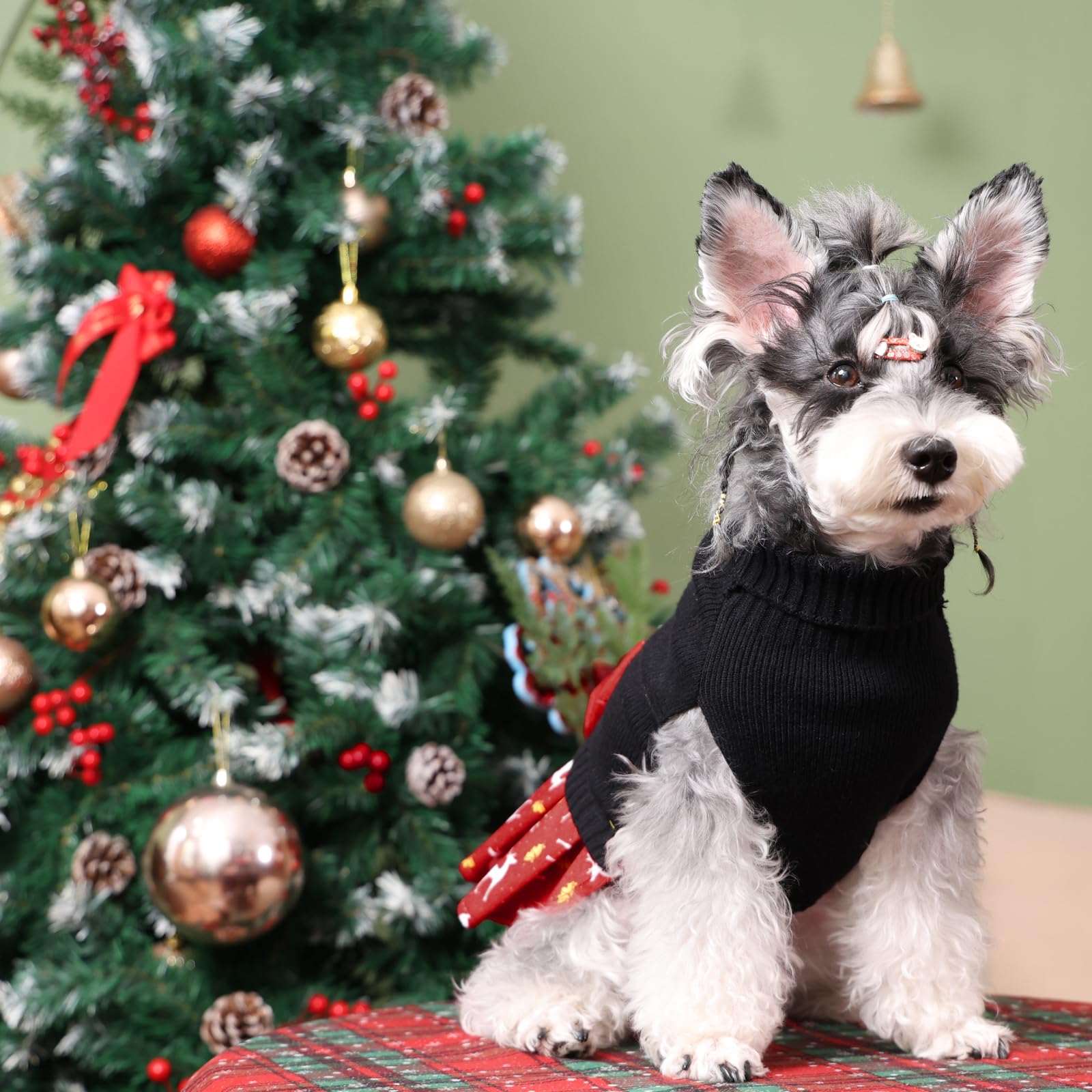 CuteBone sweater is machine washable for easy care