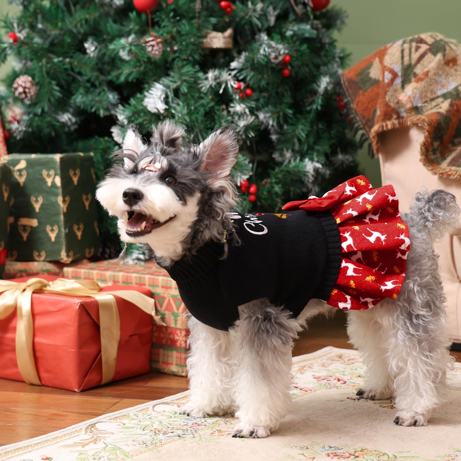 CuteBone sweater shows leash hole for easy leash attachment