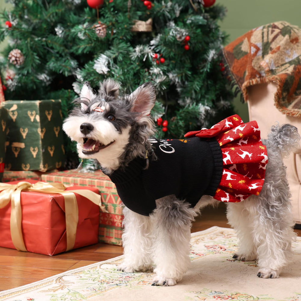 CuteBone sweater shows leash hole for easy leash attachment