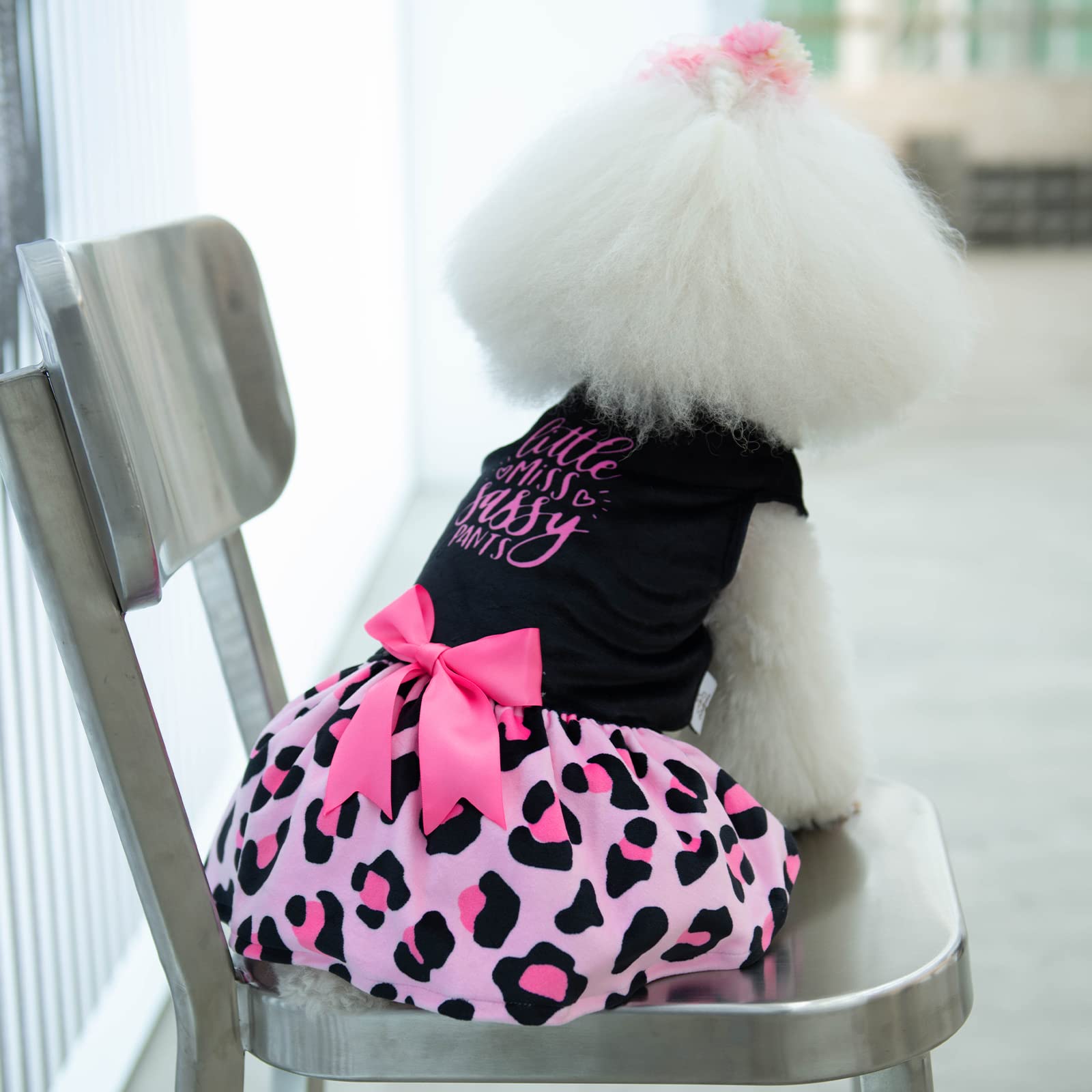  CuteBone conjunto rosa de terciopelo, ideal para uso diario en perros pequeños