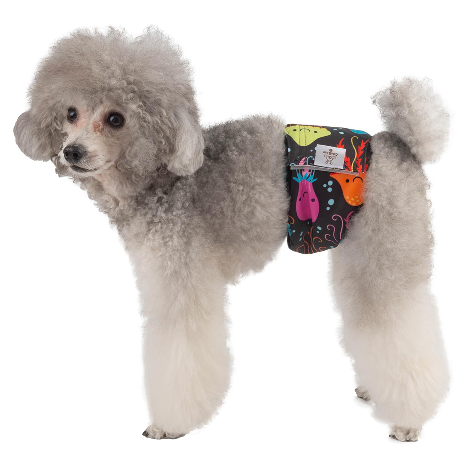 CuteBone paquete de tres diseños para distinguir a tu perro.