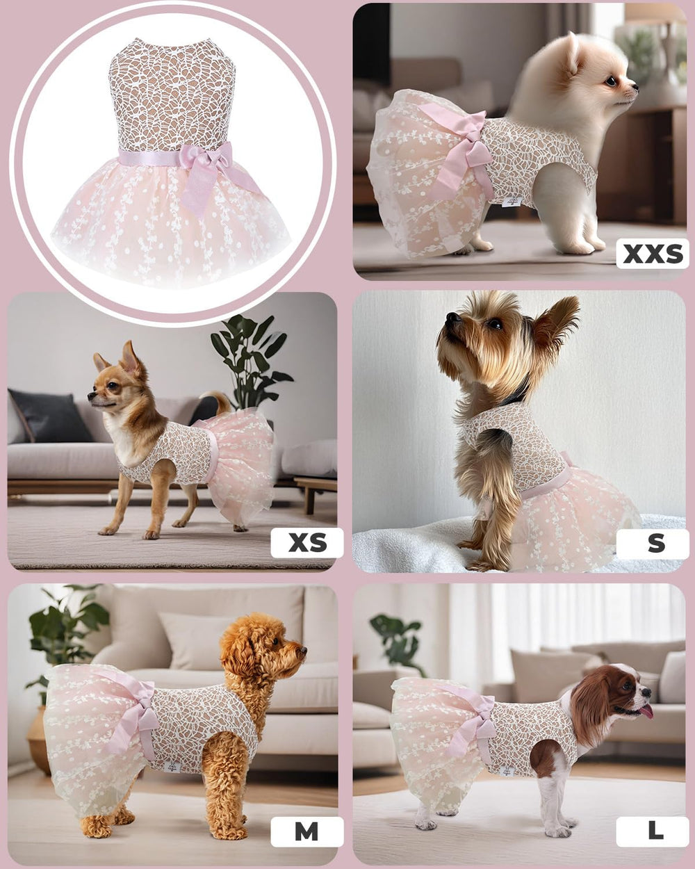 Diseño de entrada fácil CuteBone para vestir al perrito en segundos