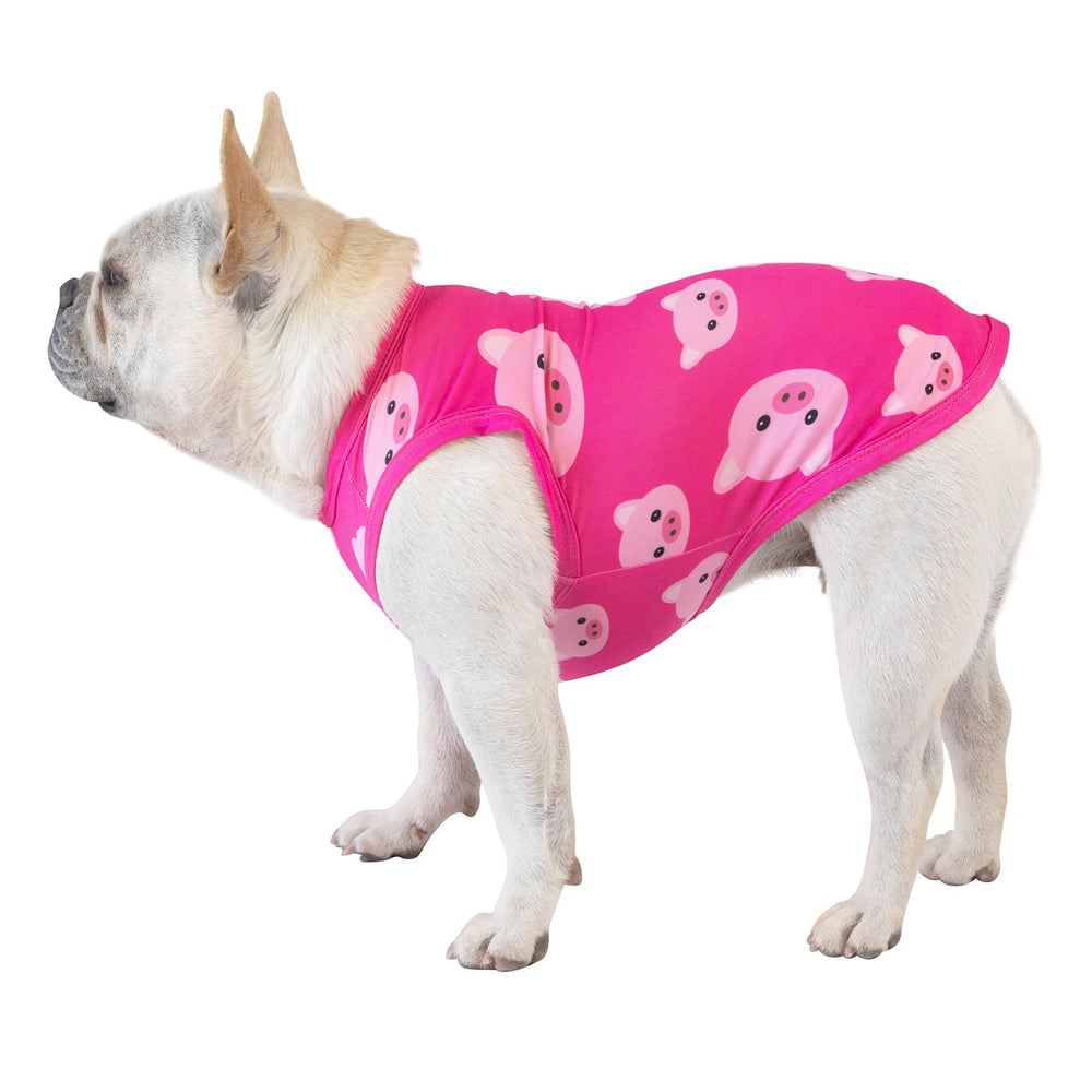 Diseño de rayas CuteBone para perros, estilo casual que destaca.