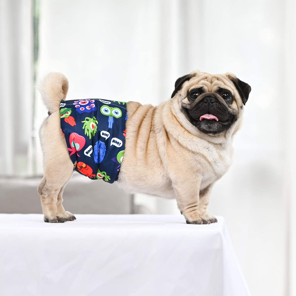 CuteBone diseños variados en pack, estilo para cada mascota.