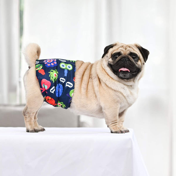 CuteBone diseños variados en pack, estilo para cada mascota.