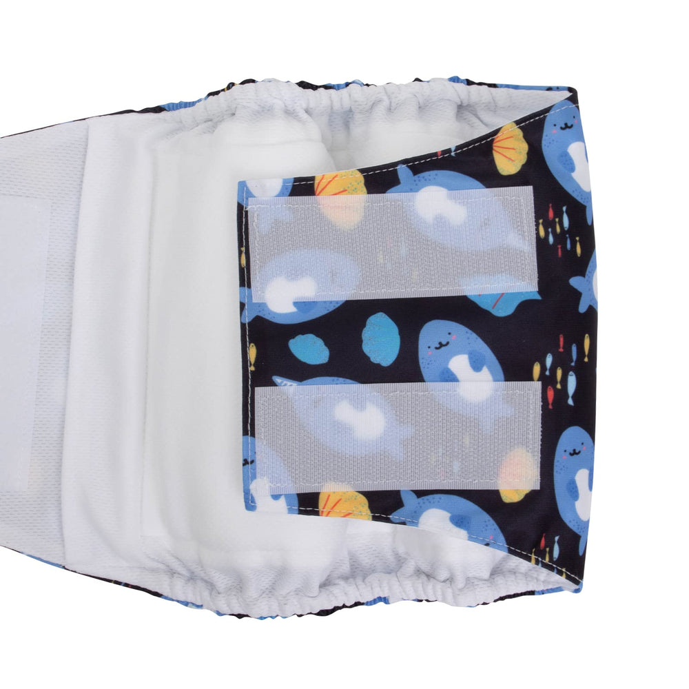 CuteBone diseños divertidos para perros machos, estilo y practicidad