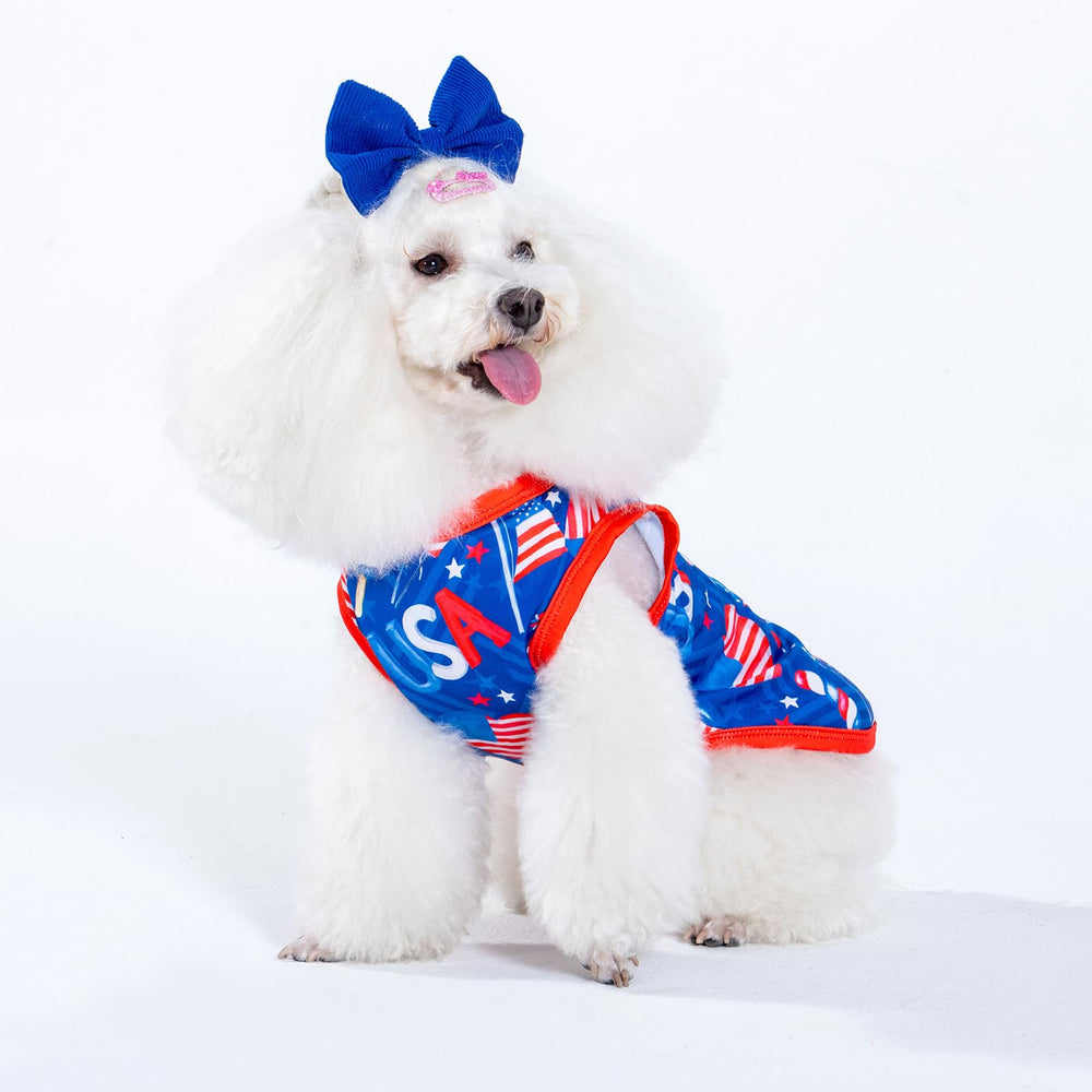 Diseños divertidos CuteBone para perros, aspecto alegre.