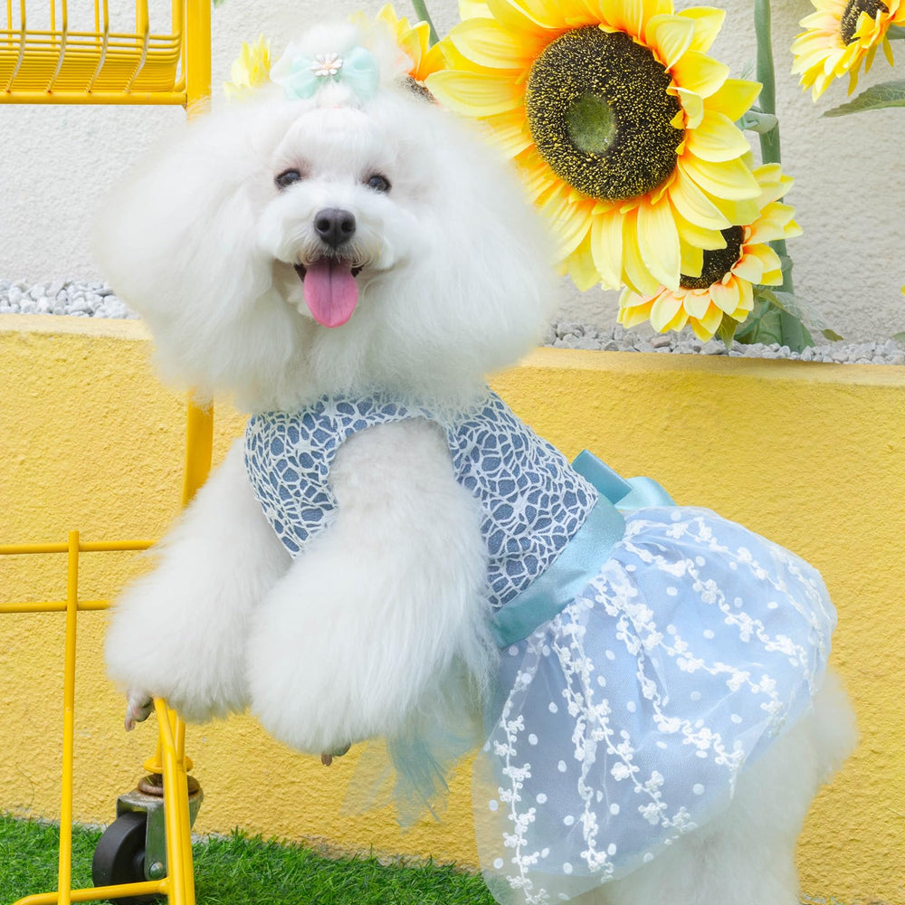 CuteBone prenda para perro, uso diario con comodidad y estilo.