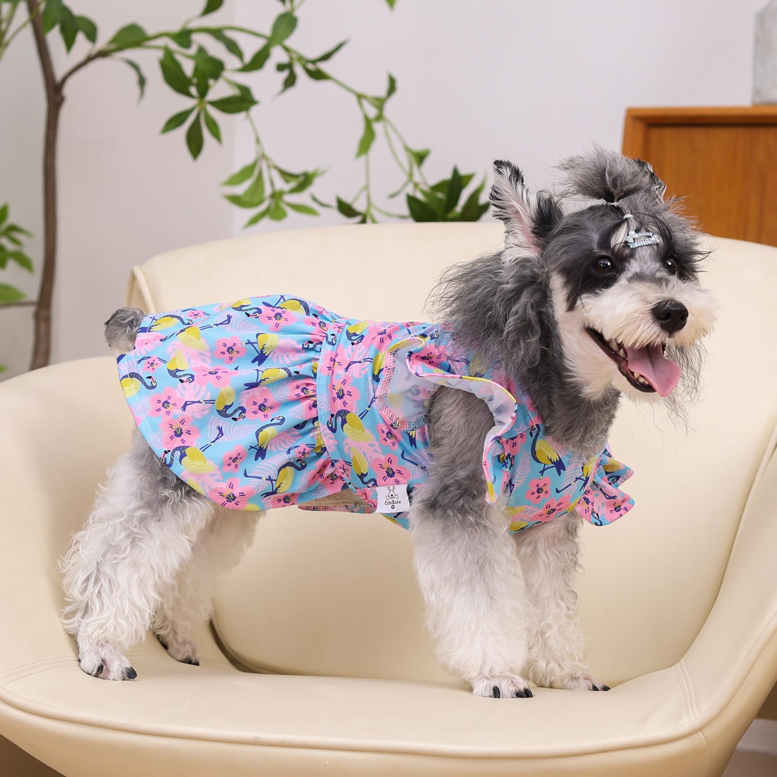 Accesorio canino CuteBone para fiestas, ideal para fotos.