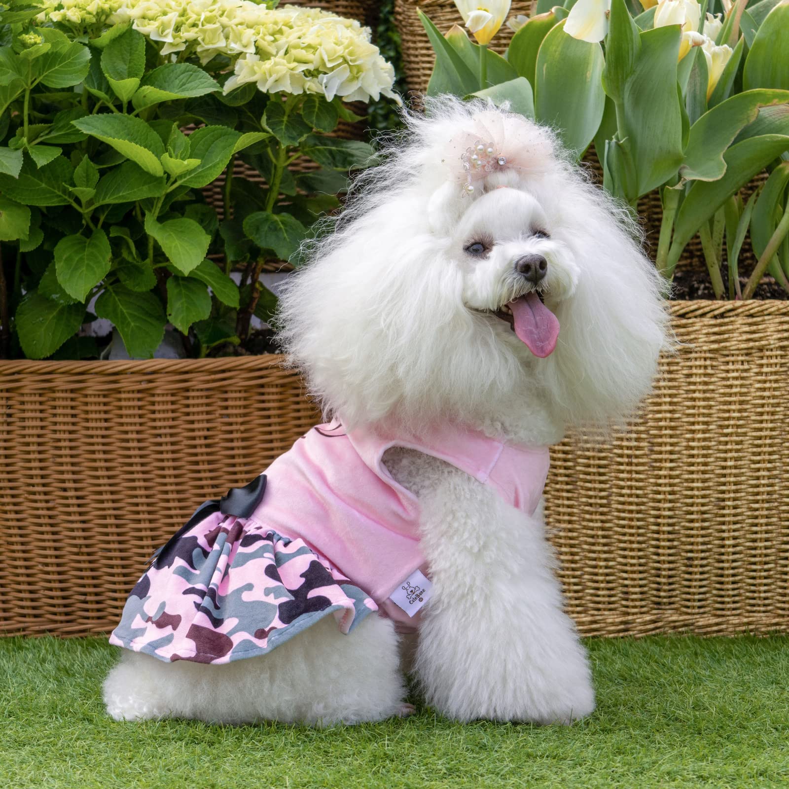 CuteBone vestido con diseño de paso por la cabeza, fácil de colocar.