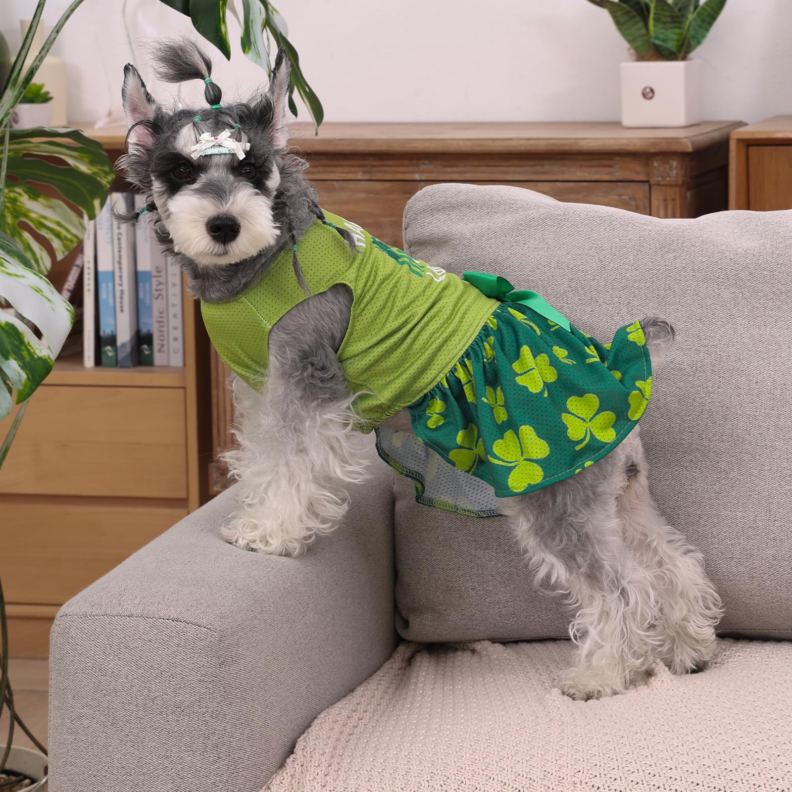 CuteBone vestido malla para perro, enfoque lazo y accesorios, perfecto para sesiones de fotos.