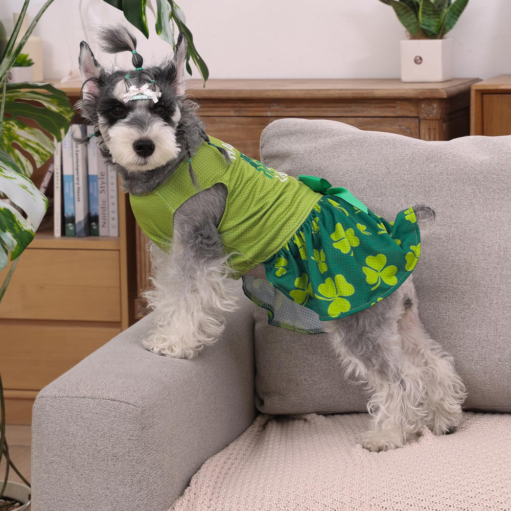 CuteBone vestido malla para perro, enfoque lazo y accesorios, perfecto para sesiones de fotos.