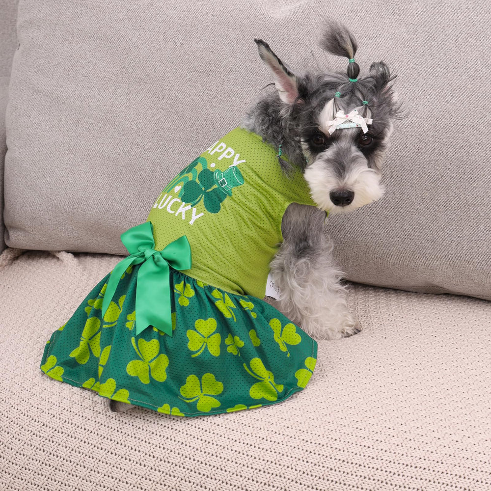 CuteBone vestido malla para perro, enfoque tejido ligero, ideal para verano y paseos.