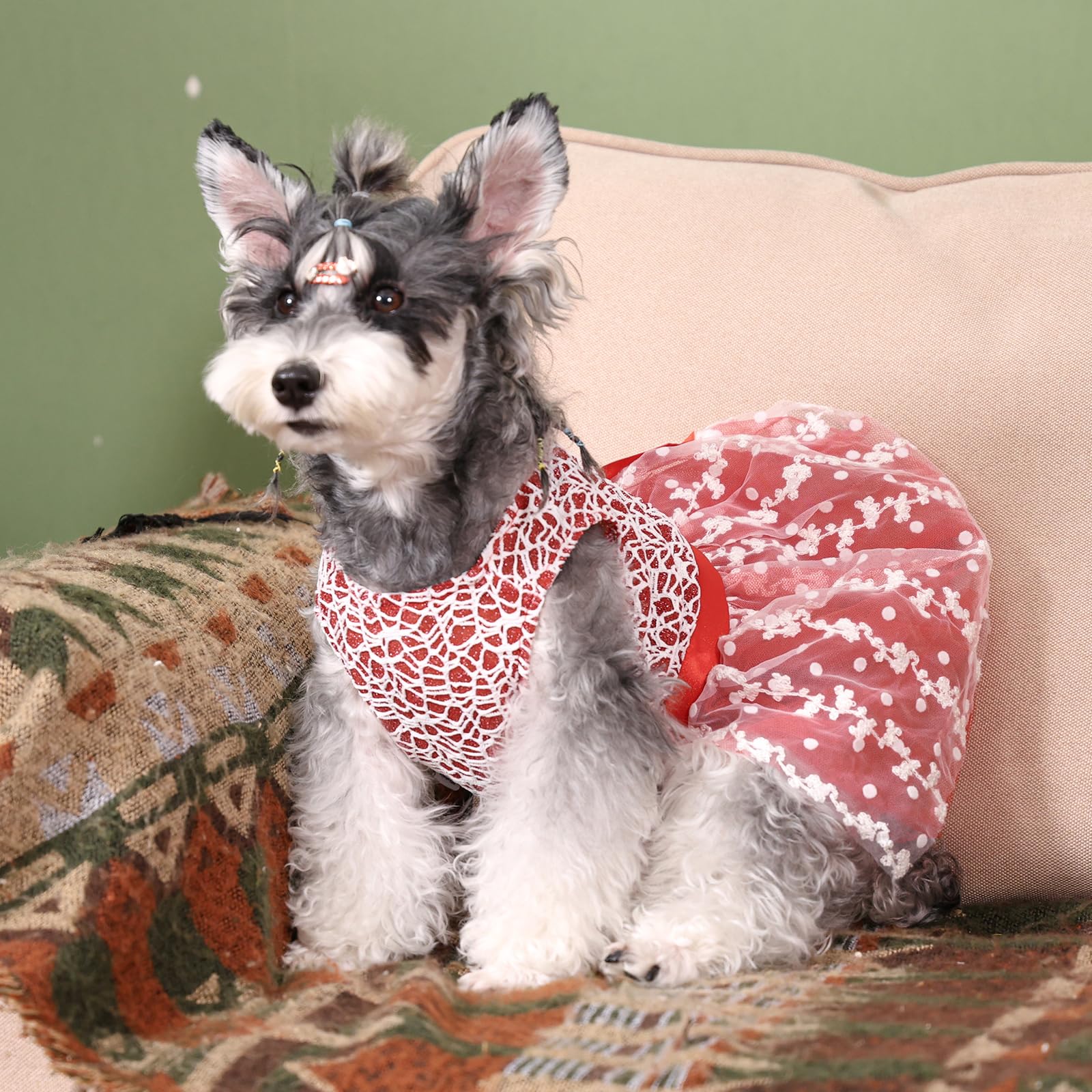 CuteBone vestido perro XXS diseño de colocación fácil sin cierres.