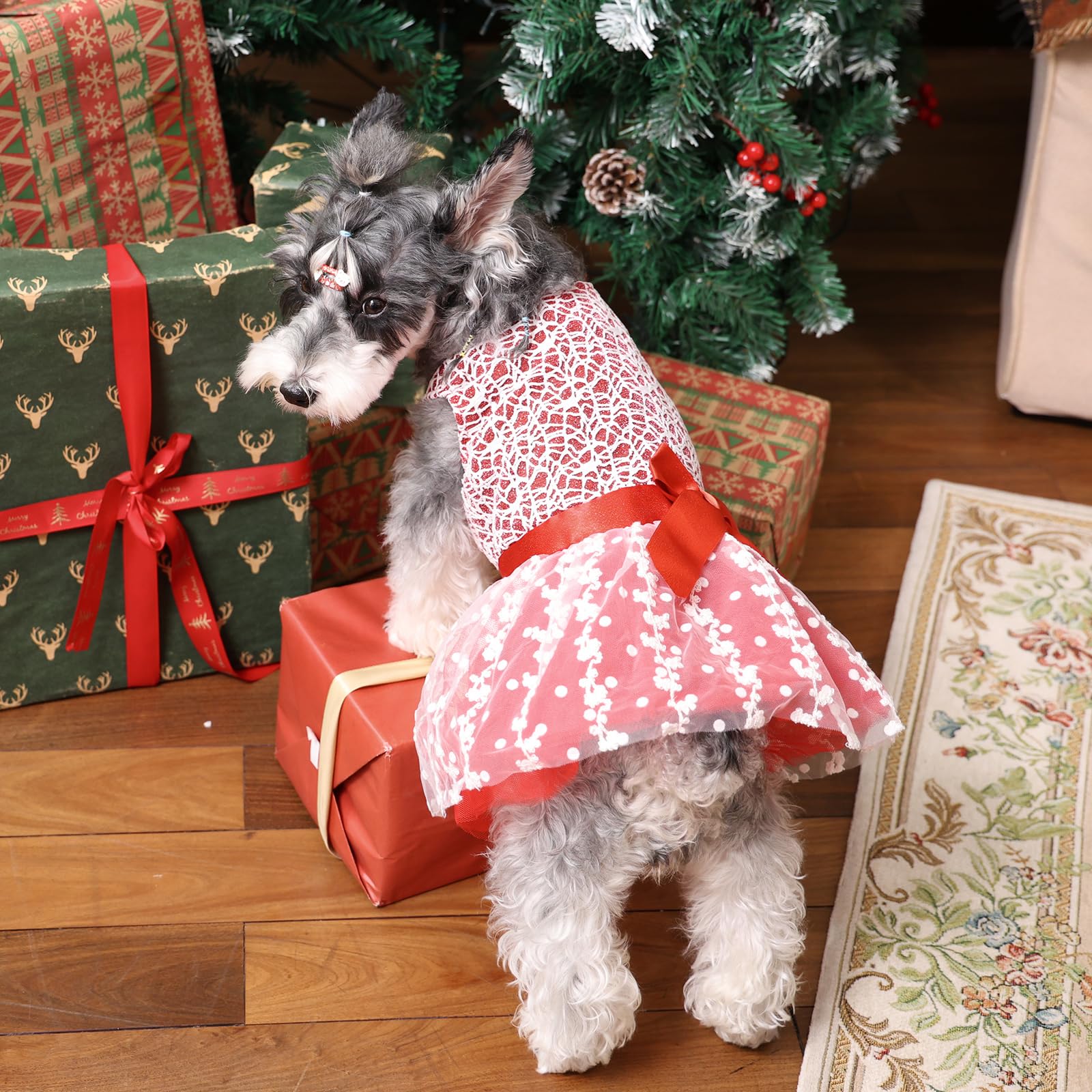 CuteBone vestido perro XXS look completo para celebraciones.