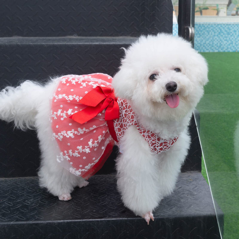 CuteBone vestido perro XXS para sesiones de fotos memorables.