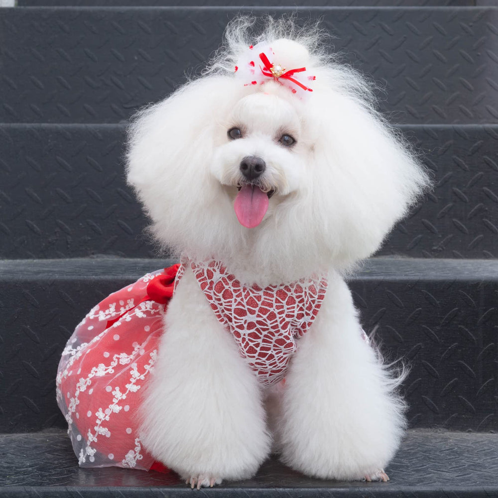 CuteBone vestido perro XXS uso fiesta, ideal para eventos.
