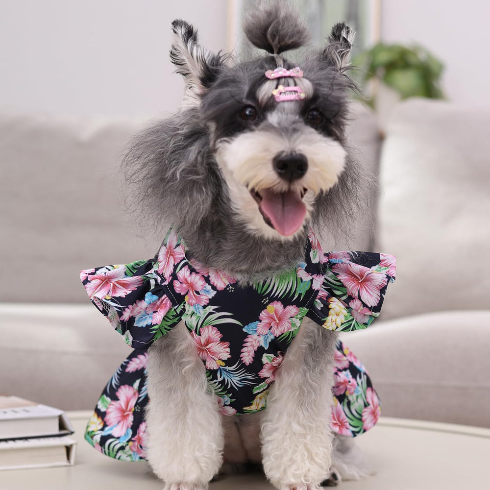 Estilo elegante de CuteBone para fotos y días de celebración.