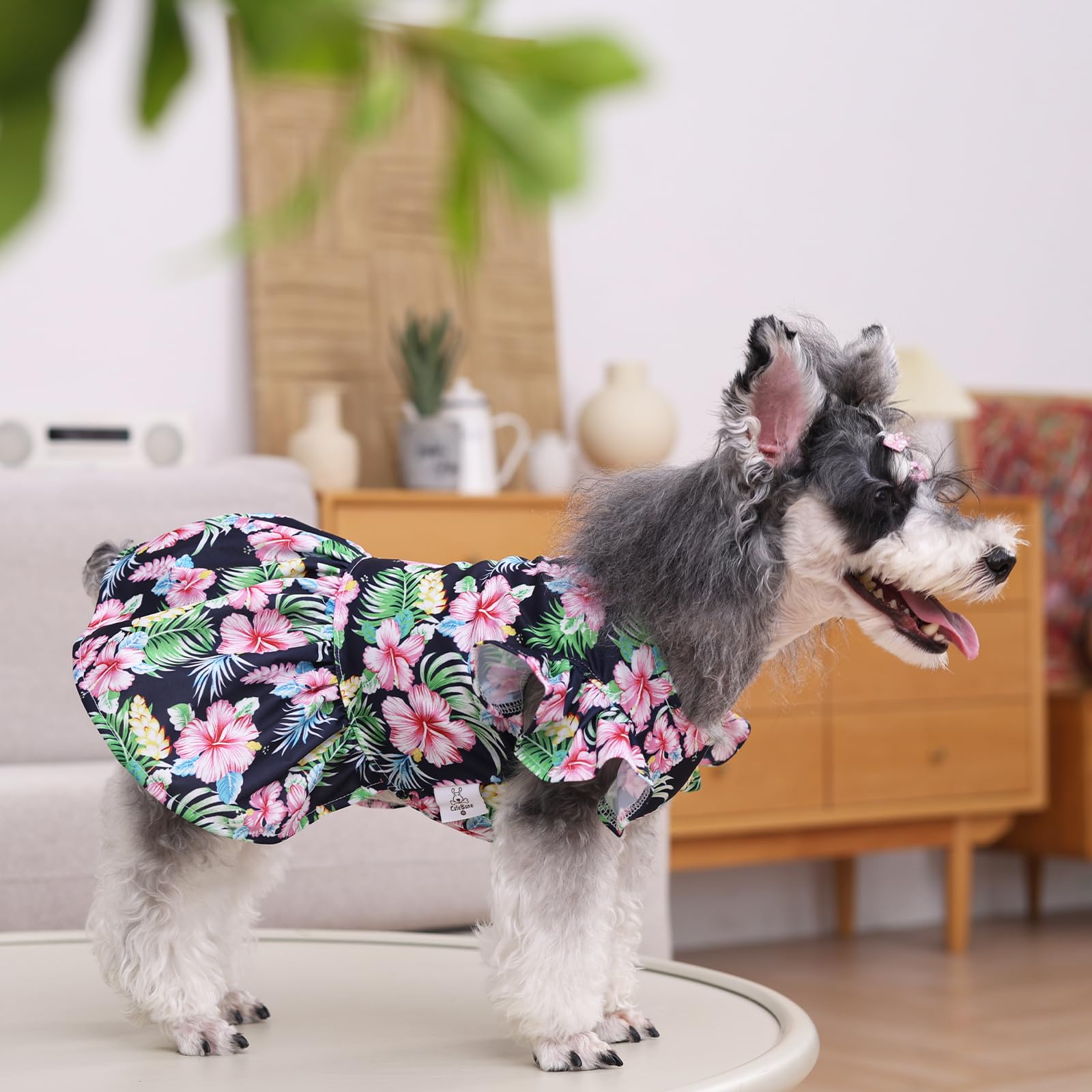 CuteBone vestido para perros pequeños, cómodo para uso diario.