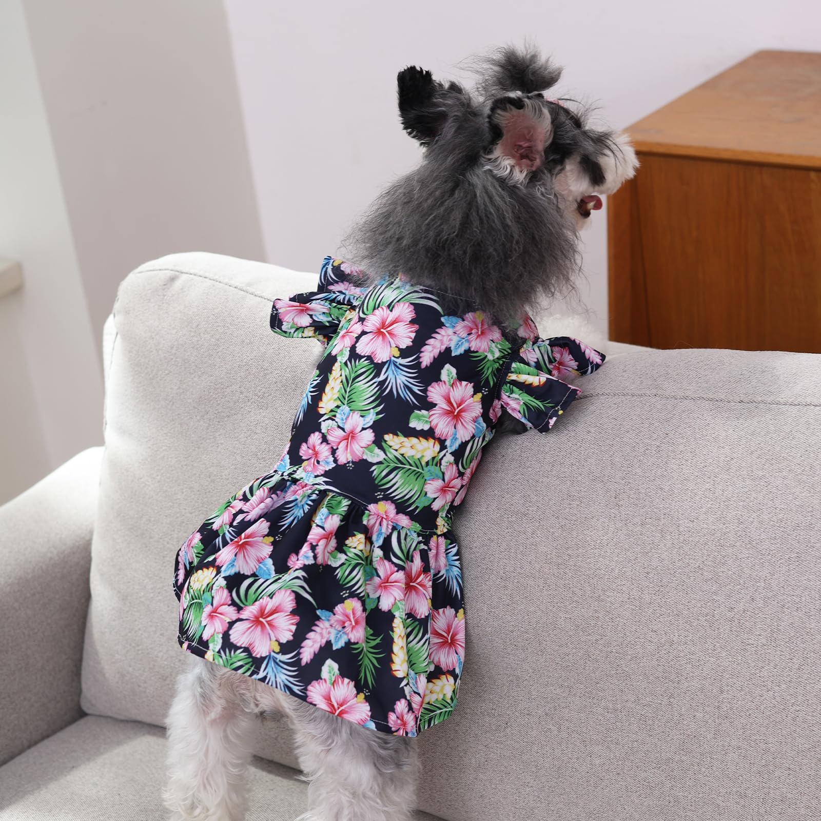 CuteBone vestido frilly visto desde la espalda para perros pequeños.