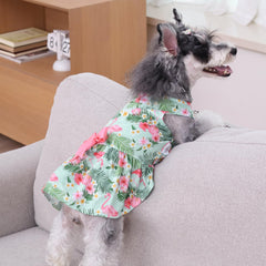 CuteBone guia de tallas para Yorkshire Terrier y Chihuahua mejora la compra