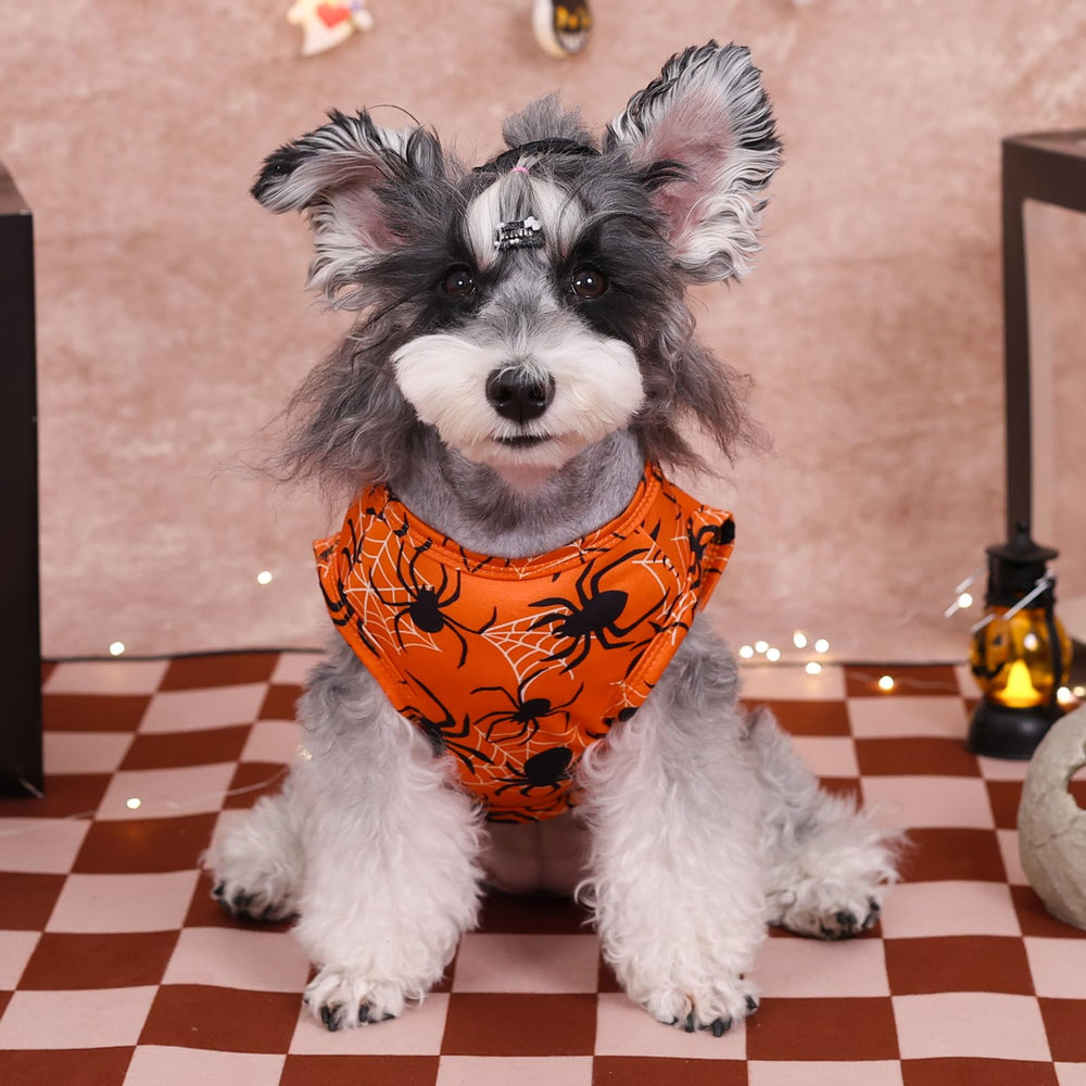 Camiseta CuteBone Halloween para perro duende, ajuste suave para cualquier ocasión