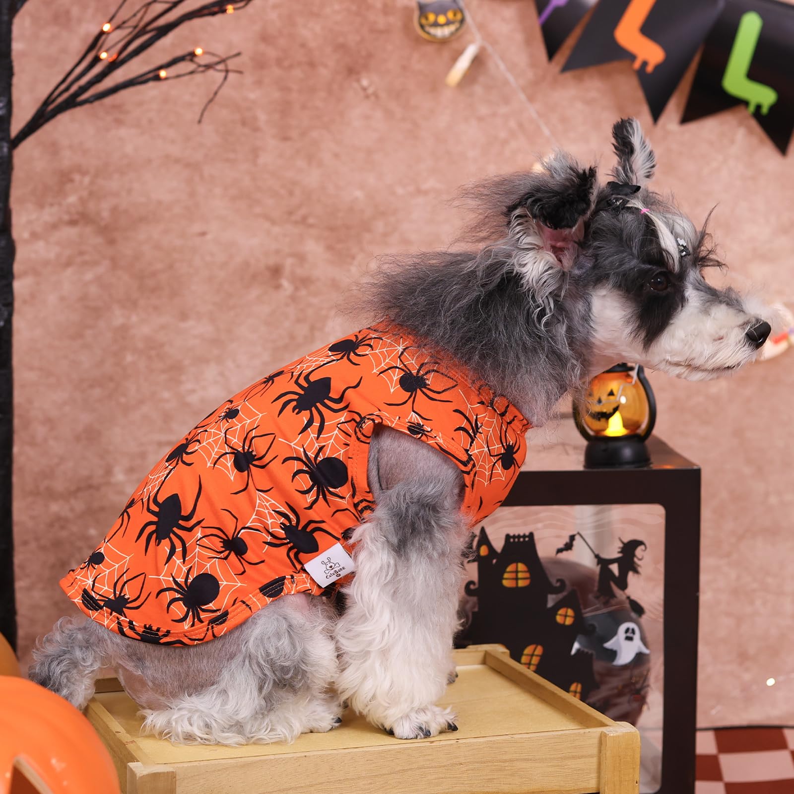 Camiseta CuteBone Halloween para perro luna, diseño temático y cómodo