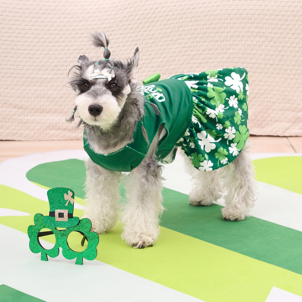 Vestido CuteBone terciopelo apto para lavado a máquina, limpieza fácil.