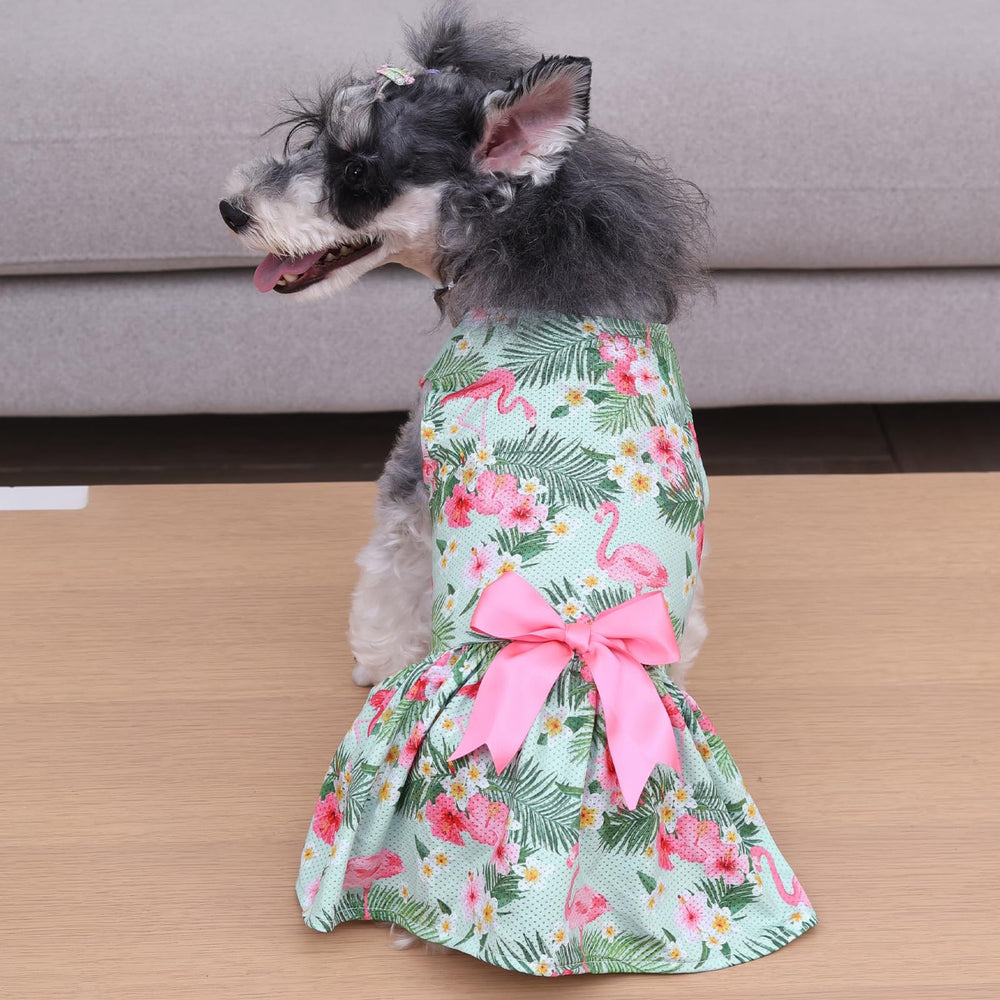 CuteBone look princesa para perro ligero y elegante