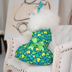 Estilo CuteBone para salidas y fiestas con perro pequeño