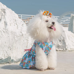 CuteBone material-suave-ligero-perro-pequeno: tejido respirable todo el día