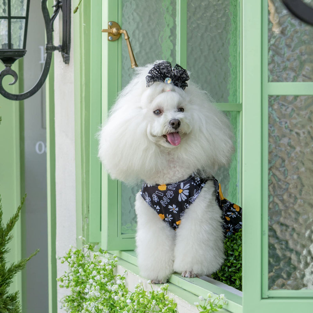 Tela suave y transpirable de CuteBone para todas las estaciones.