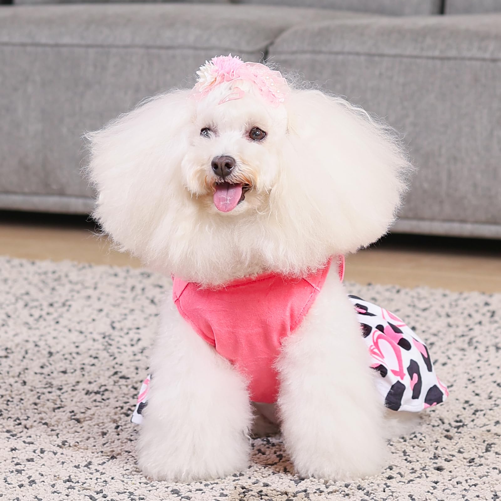 CuteBone modelo-tallas-pequenas, ideal para perros pequenos