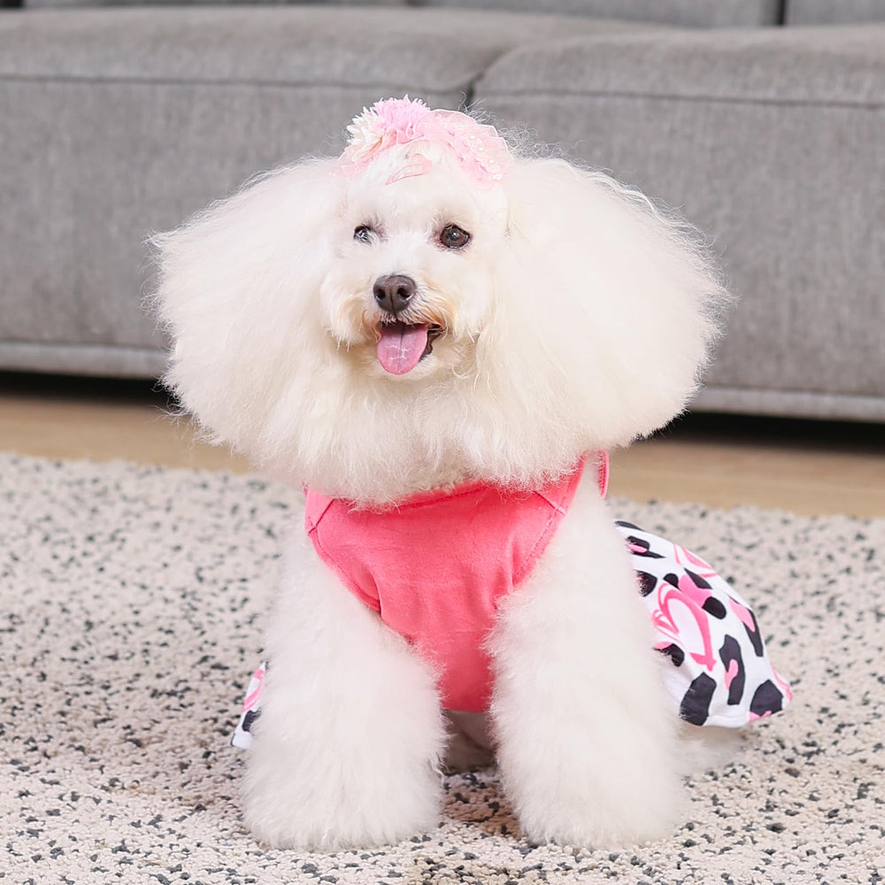 CuteBone modelo-tallas-pequenas, ideal para perros pequenos