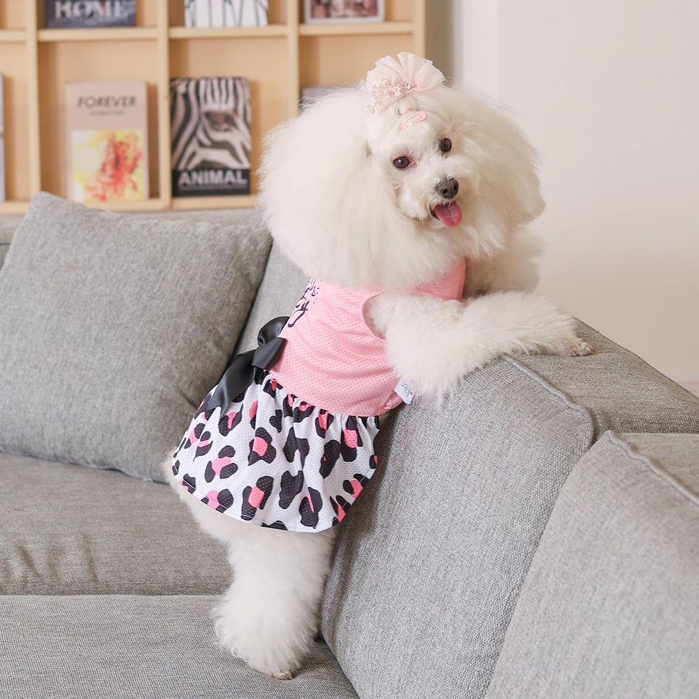 CuteBone vestido ideal para sesiones de fotos y eventos especiales.